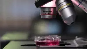 Neumora Therapeutics Announces Initiation of Phase 1 Clinical Study of M4 Positive Allosteric Modulator NMRA-861