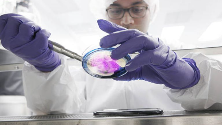 Menarini Group's Elacestrant Marketing Authorization Application Accepted for Review by the European Medicines Agency (EMA) for the Treatment of ER+/HER2- Advanced or Metastatic Breast Cancer