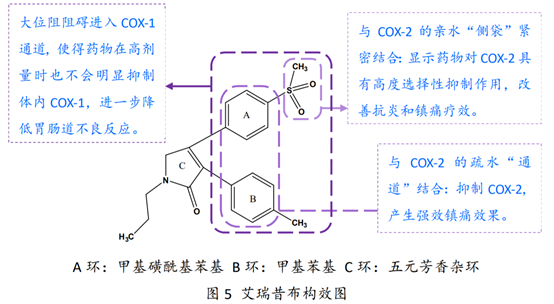 浴火历练14年！国家1类新药：艾瑞昔布