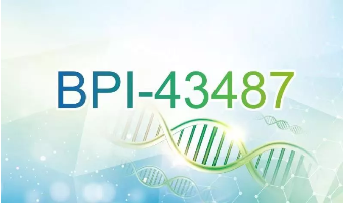新年新成果！贝达药业新药BPI-43487临床试验申请获得受理