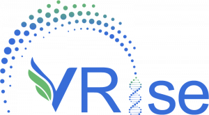 VRise Therapeutics Secure Exclusive License for KQ-2003 world's first parallel-enhanced dual-targeted CAR-T in India
