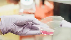 Xentria Advances XTMAB-16 Clinical Development in Pulmonary Sarcoidosis Following FDA Feedback