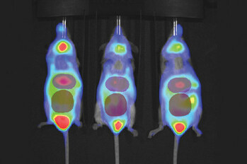 Calyx and Invicro agree to combine to create a global leader in medical imaging and software solutions for the clinical research community