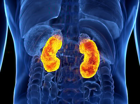 Arrowhead finds RNAi kidney disease candidate is well tolerated in phase 1/2 IgAN trial cohort