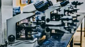 Biohaven Reports First-in-Human Dosing of Oral PKM2 Modulator, BHV-8100, Targeting Metabolic Restoration and Immunomodulation