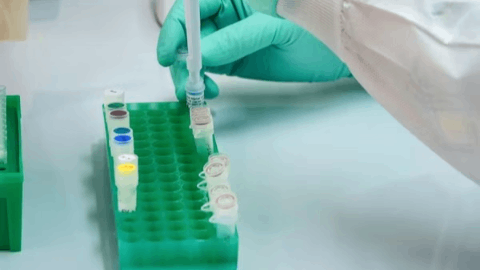 Innovative Molecules Announces First Patient Dosed in Phase 2a Trial of Adibelivir (IM-250), Advancing Company into Late-Stage Clinical Development