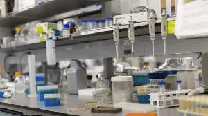 Polyrizon Completes Branding Process for PL-14 Allergy Blocker with Brand Name NASARIX™