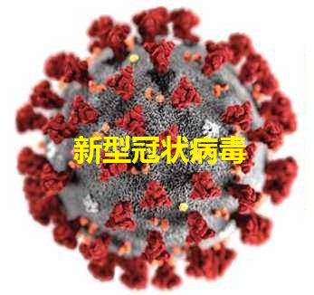 吉利德抗病毒药物Veklury(瑞德西韦)：对奥密克戎变异株保持抗病毒活性!