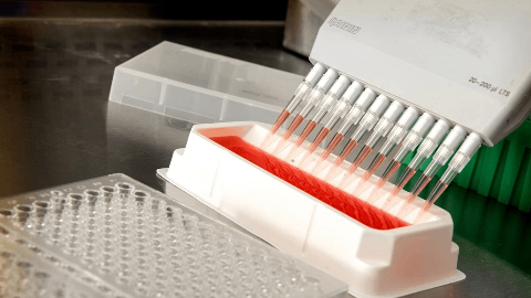 e-therapeutics De-risks Clinical Path for GalOmic Candidate ETX-312 with Positive Non-clinical Data