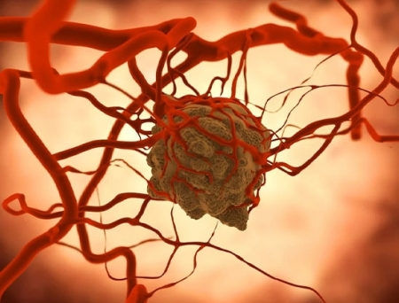 SPARC Submits IND Application for SBO-154 to USFDA