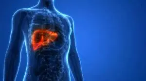 EU medicines regulator grants conditional authorisation for Madrigal's liver disease drug