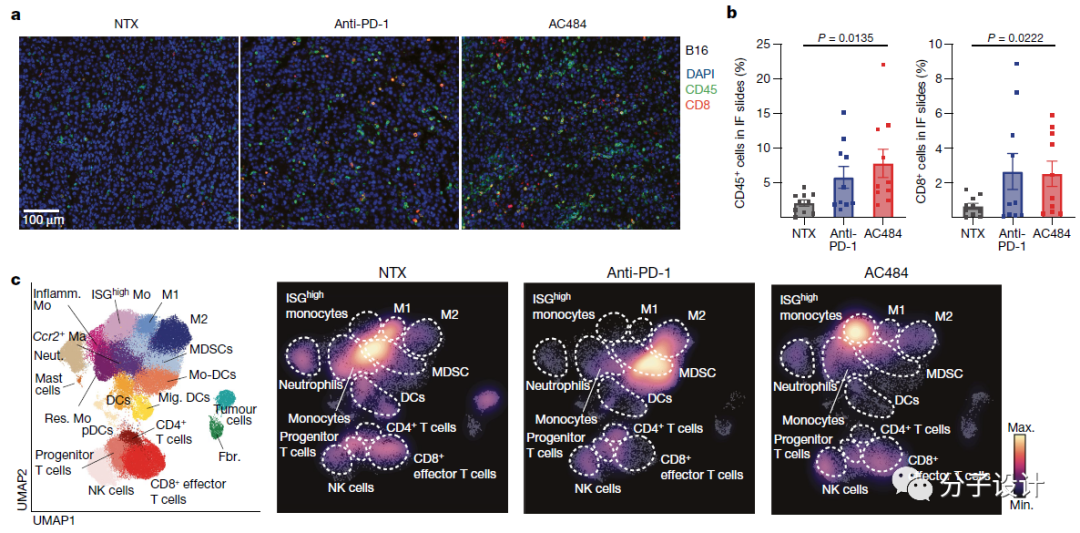 难成药靶标PTPN2/PTPN1的抑制剂设计及免疫治疗研究