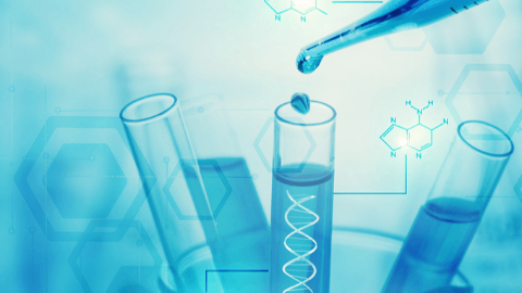 TransCode Therapeutics Reports Positive Preclinical Results with its Lead Candidate, TTX-MC138, in Glioblastoma