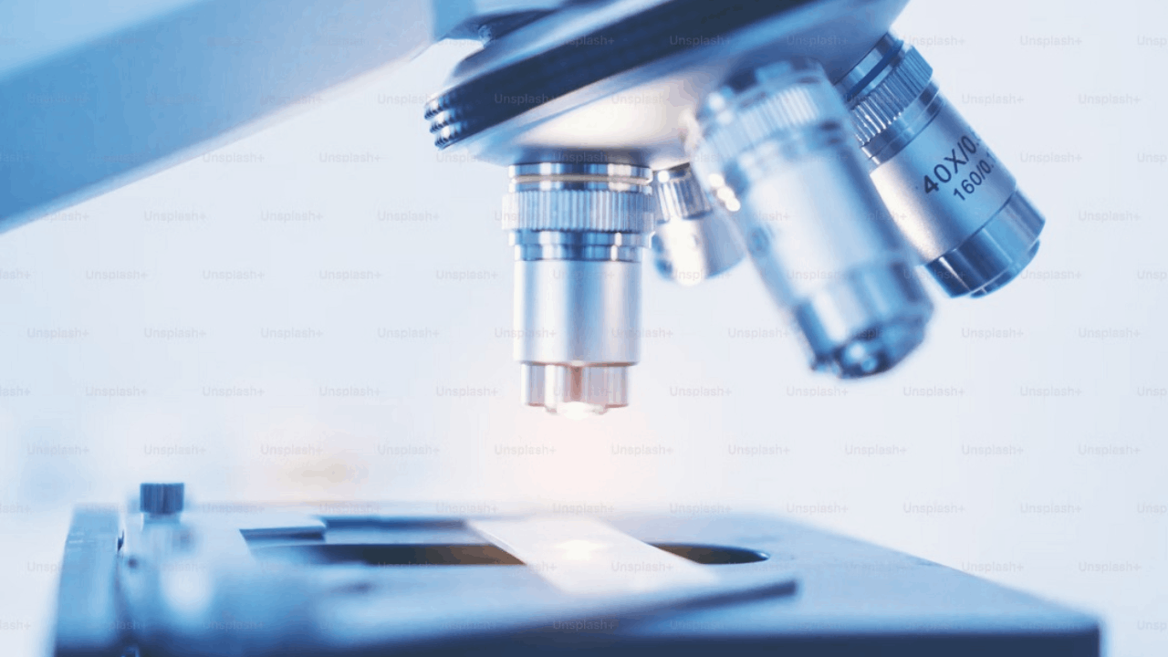 Navigator Medicines Completes Last Participant Last Visit (LPLV) in Phase 1b Trial of NAV-240, an OX40L and Anti-TNFα Bispecific Antibody for Autoimmune Diseases