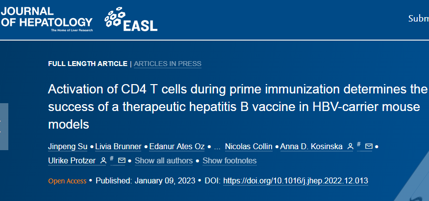 J Hepatol：科学家揭开抵御人类慢性乙肝的成功治疗性疫苗策略的关键决定因素