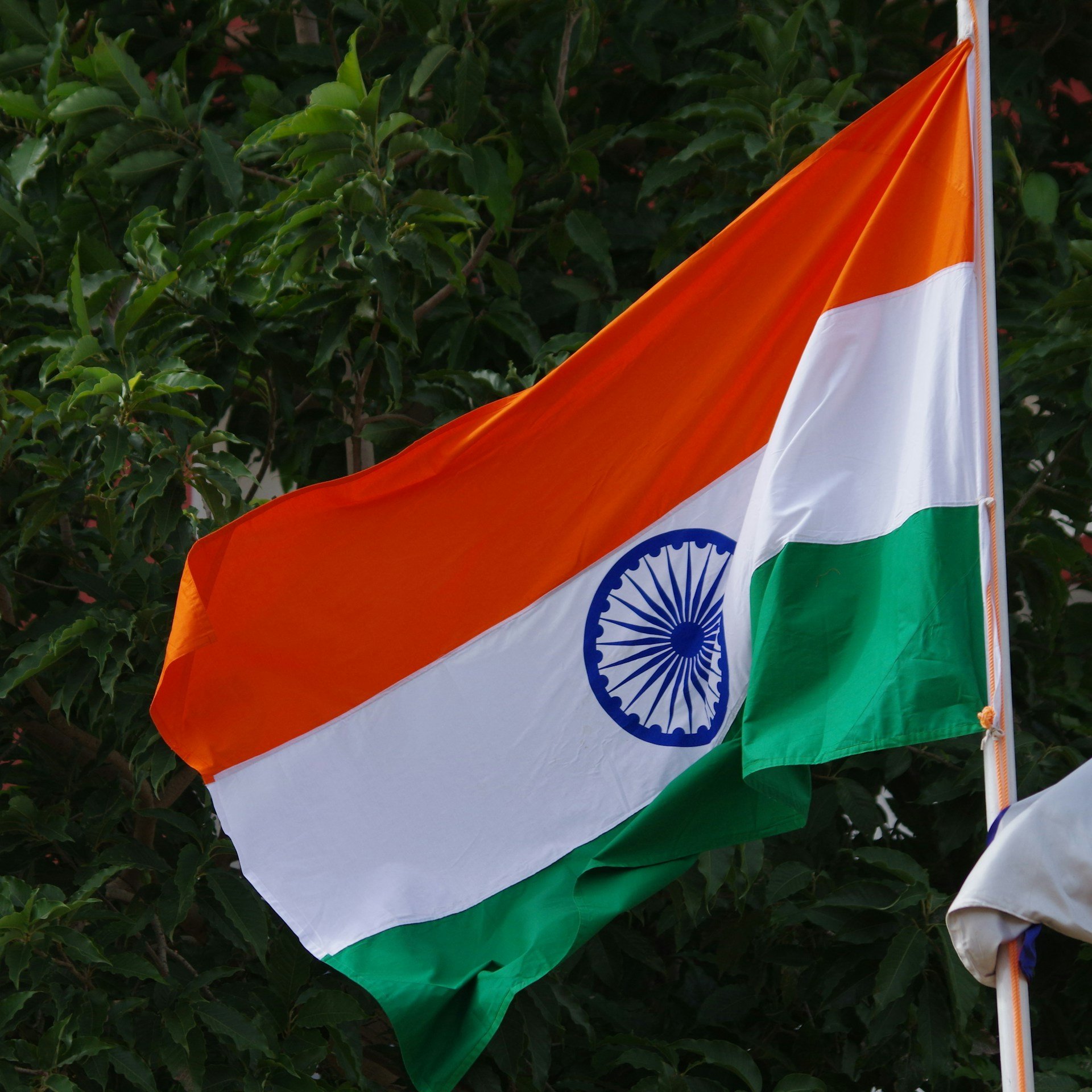 With Novo's semaglutide going off patent, Indian drugmakers set to launch their cheaper generics