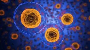 Italfarmaco Announces U.S. FDA Grants Fast Track Designation to Givinostat in Treatment of Polycythemia Vera