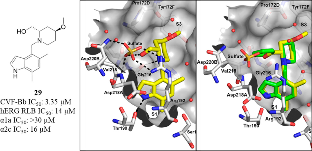First-in-class的补体因子B抑制剂Iptacopan的药物设计