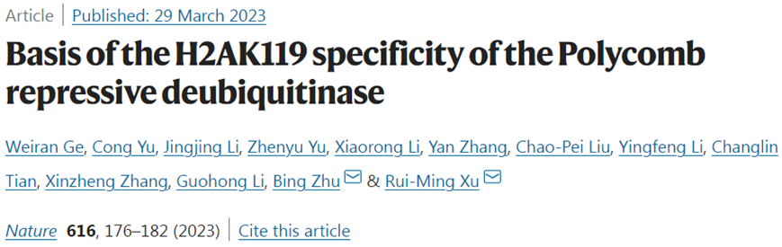 Nature：我国科学家揭示人类PR-DUB在核小体背景下特异性清除H2AK119ub1的机制