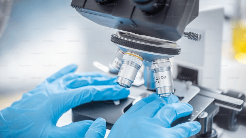 INmune Bio to Present Phase 2 MINDFuL Trial Findings of XPro™ at the Alzheimer’s Association International Conference