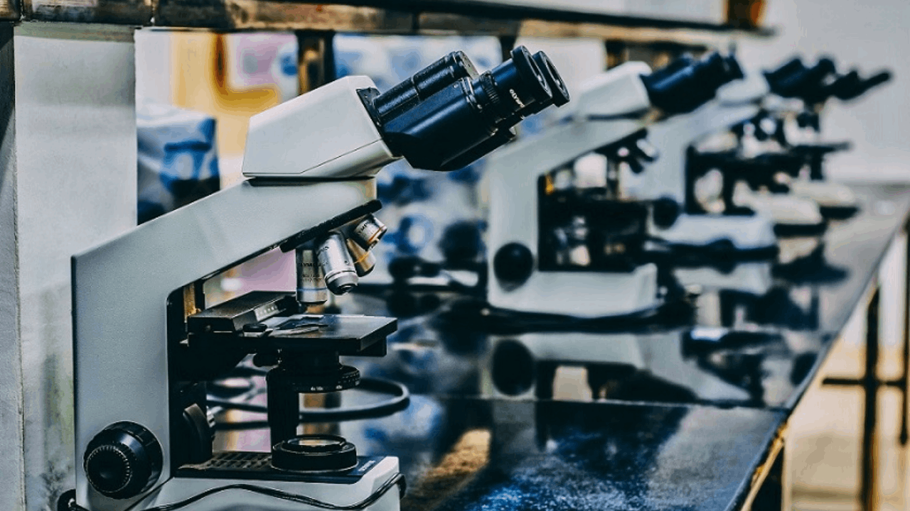 AbbVie Provides Update on TrenibotulinumtoxinE (TrenibotE) Biologics License Application in the U.S.