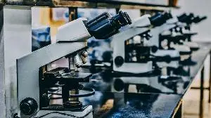 AbbVie Provides Update on TrenibotulinumtoxinE (TrenibotE) Biologics License Application in the U.S.