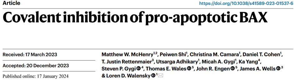 Nat. Chem. Biol. | 靶向BAX的共价抑制剂开发