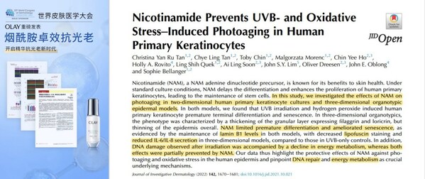 权威文献证实烟酰胺卓效抗光老  OLAY超抗小白瓶有效减少光损伤