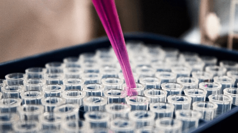 Diagonal Therapeutics to Present New Preclinical Data Demonstrating Disease-Modifying Potential of Receptor Clustering Antibody Approach in HHT at EHA 2025 Congress