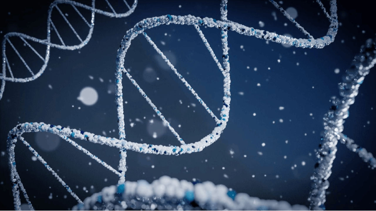 Excision BioTherapeutics Announces Publication Highlighting EBT-107 for the Treatment of Chronic Hepatitis B in bioRxiv