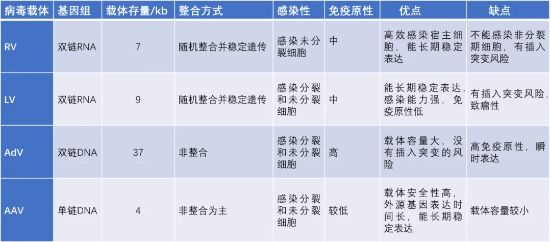基因治疗递送载体概述