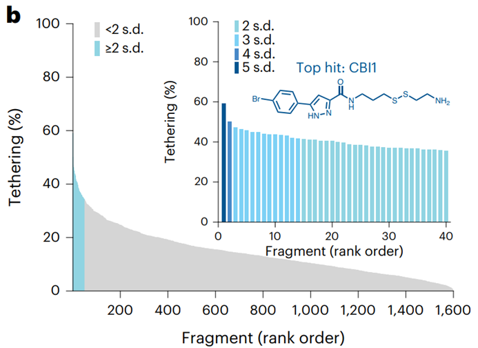 Nat. Chem. Biol. | 靶向BAX的共价抑制剂开发