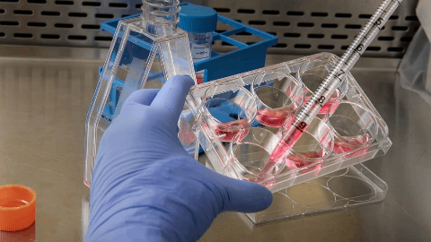 FDA grants Novartis’ ianalumab breakthrough therapy status for Sjögren’s disease