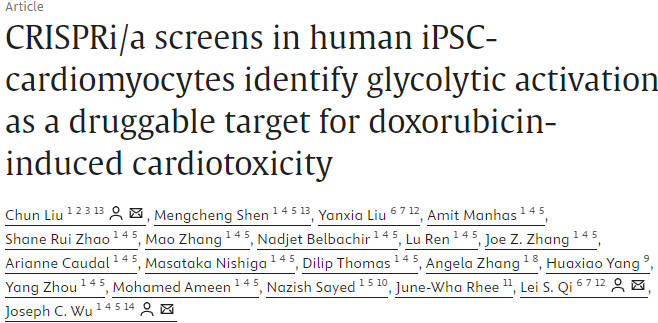 CRISPR筛选技术揭示新希望！Cell Stem Cell：化疗药物阿霉素导致心脏细胞受损的原因
