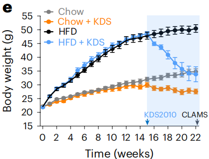 《自然·代谢》：当馋鬼和减肥全都要！科学家找到支配能量代谢的神经元，可以增加热量消耗，不用管住嘴也能减掉肥