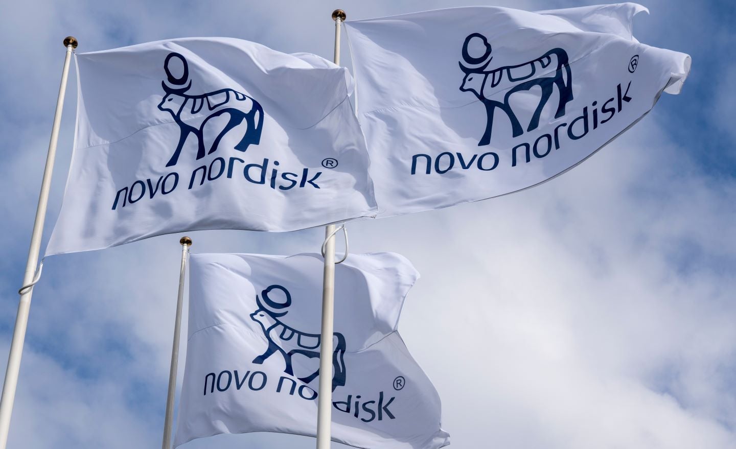 Novo Nordisk engages Thermo Fisher to produce weight-loss drug