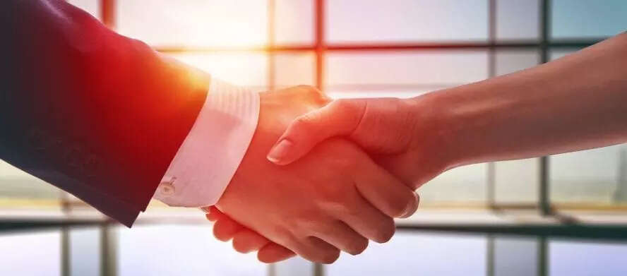 Mankind acquires 100 per cent stake in BSV