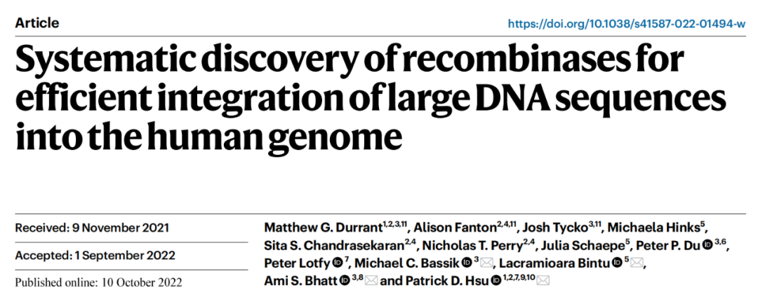 张锋的学生Patrick Hsu发现新型重组酶，将大段DNA高效整合到人类基因组