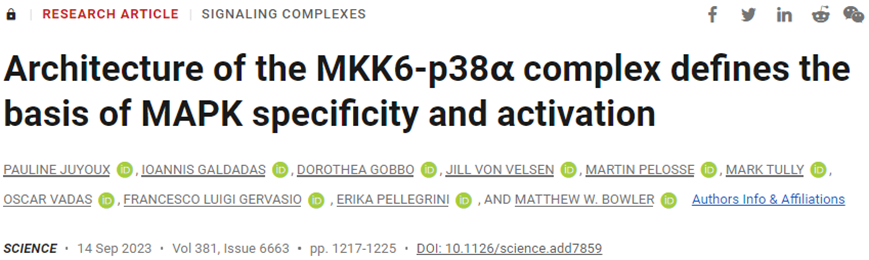 Science：从结构上揭示MKK6-p38α复合物激活机制