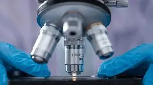 Kali Therapeutics Receives U.S. FDA Clearance for KT501 Investigational New Drug Application