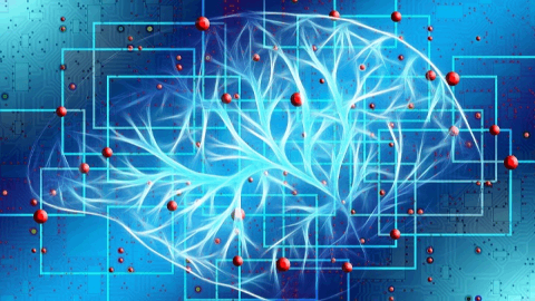 Yamo Pharma Presents Statistically Significant Phase 2 Autism Results for L1-79 at INSAR 2025