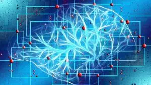Yamo Pharma Presents Statistically Significant Phase 2 Autism Results for L1-79 at INSAR 2025