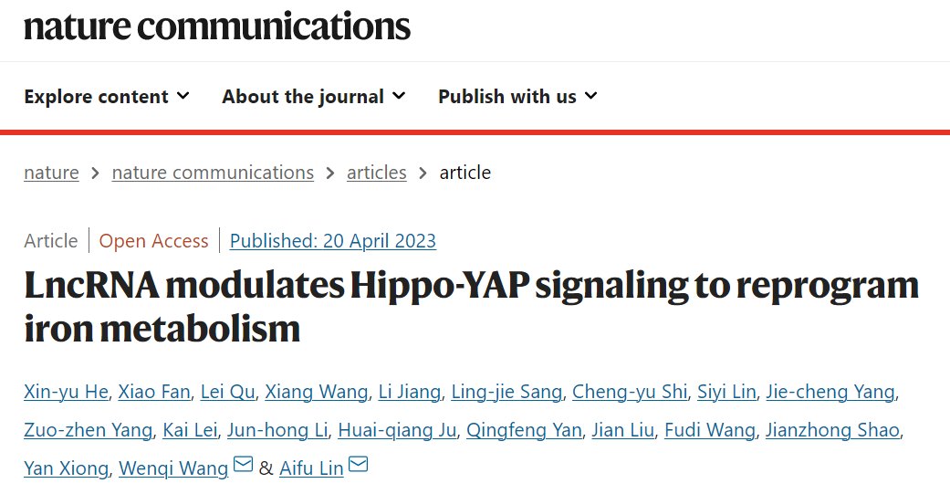 Nature子刊：林爱福团队揭示LncRNA通过重编程铁代谢调控肿瘤进程