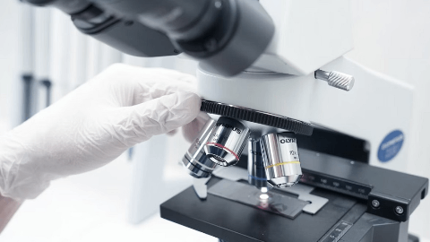 Toripalimab Presents Long-Term Survival Benefits as 1st-line Treatment for Advanced Nasopharyngeal Carcinoma and Esophageal Squamous Cell Carcinoma Patients