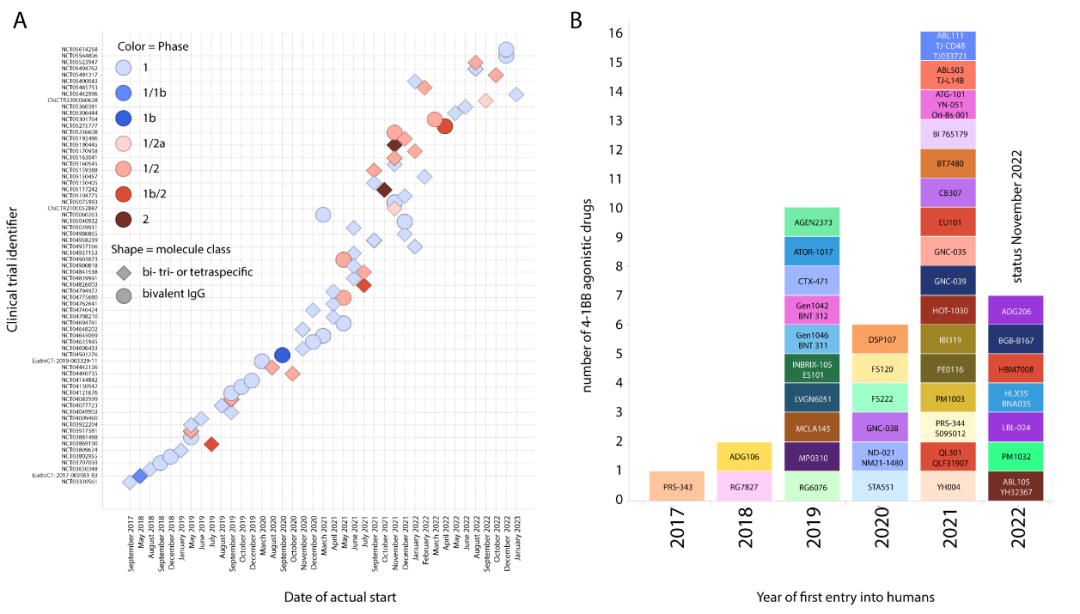 新一代4-1BB激动剂的开发 ：旨在更安全、有效