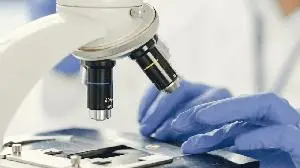 Arbor Biotechnologies Announces FDA Acceptance of IND Application for ABO-101 for the Treatment of Primary Hyperoxaluria Type 1