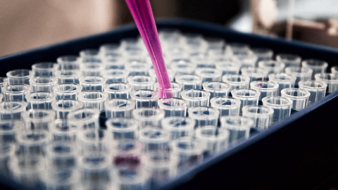 Alterity Therapeutics Presents Encouraging New Data from its ATH434 Phase 2 Trial in Multiple System Atrophy at the American Academy of Neurology Annual Meeting