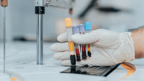 I-Mab Completes Enrollment in Planned Phase 1b Dose Expansion Study for Givastomig in Combination with Immunochemotherapy in Patients with 1L Gastric Cancers