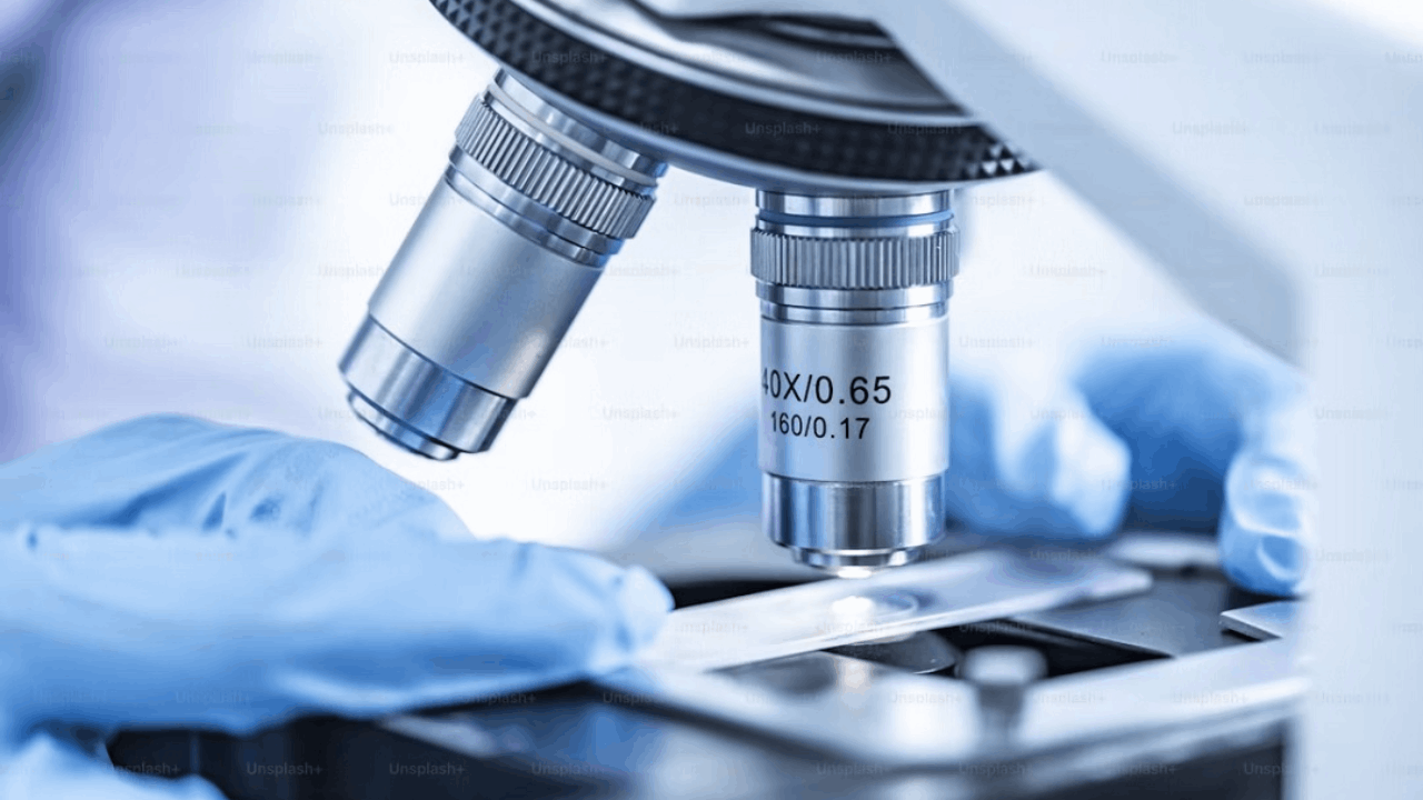 Merck & Co.'s Welireg bags priority FDA review in early RCC with pivotal DFS data