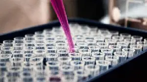 Arvinas to Present Preclinical Data for PROTAC BCL6 Degrader, ARV-393, at the 2025 European Hematology Association (EHA) Annual Meeting